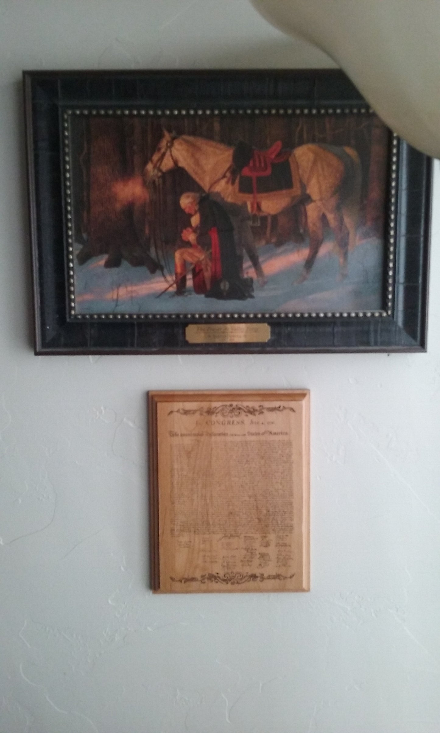 Declaration of Independence on display