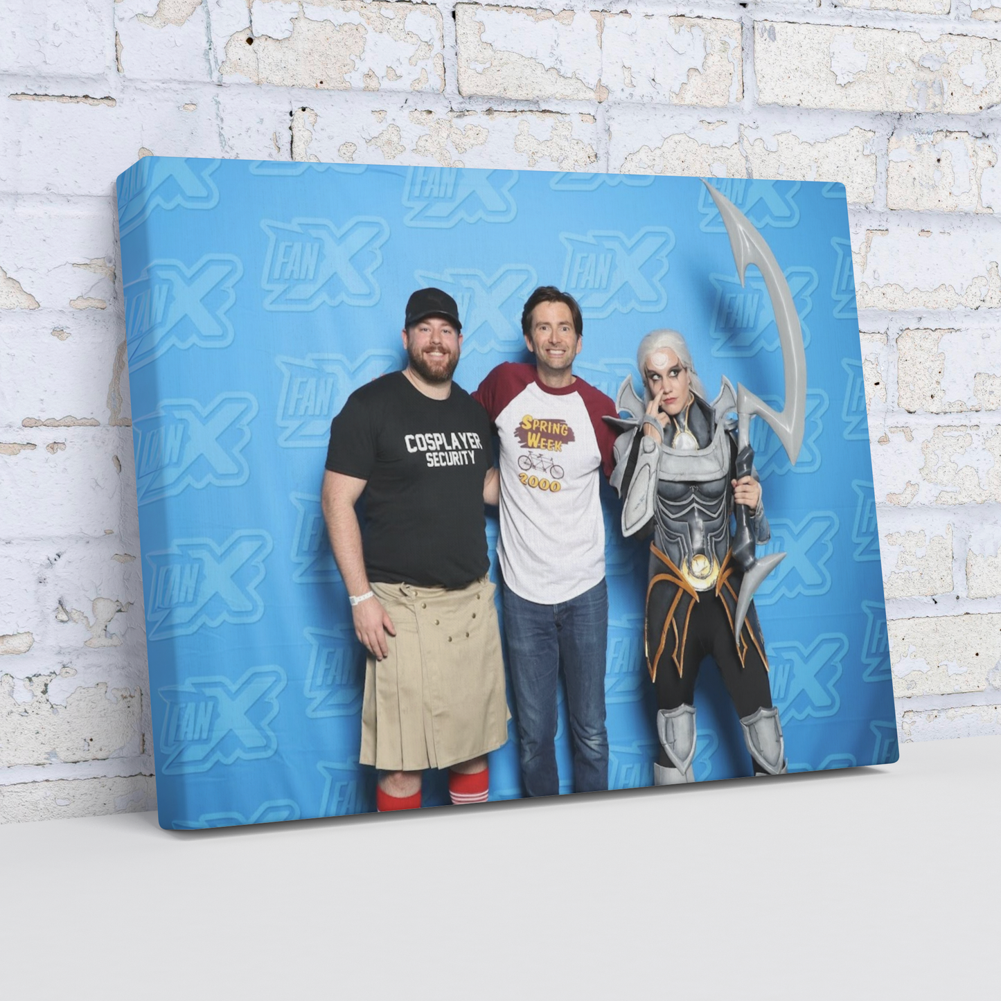 FanX_Canvas_11x14_H_Angle_Wall_Mockup.png