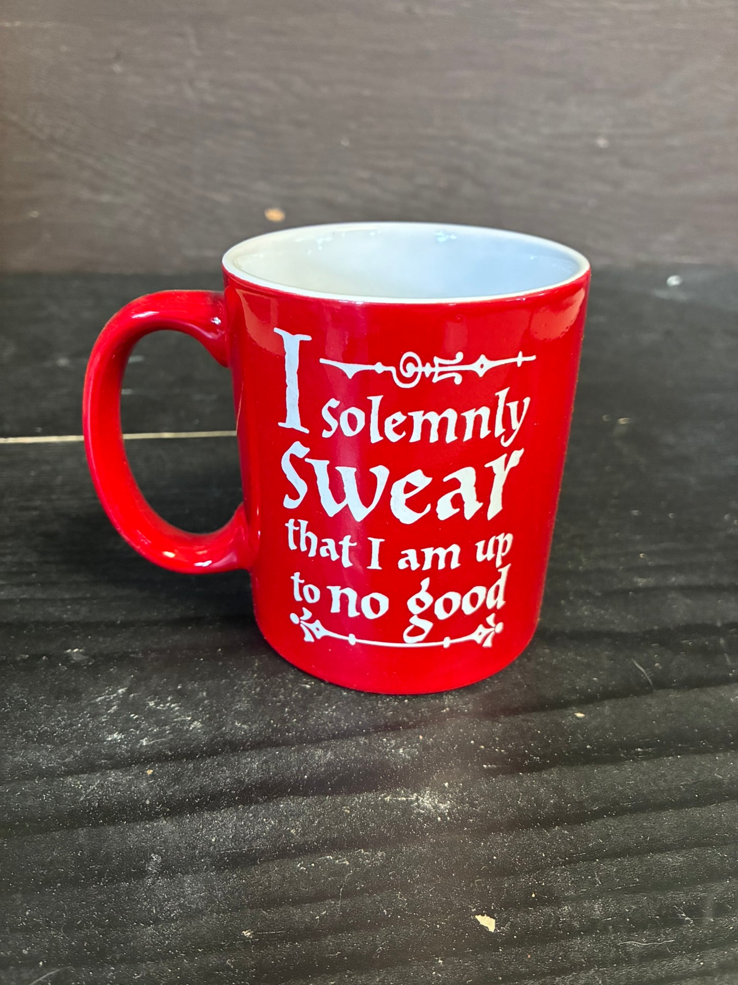 Solemnly Swear Mug
